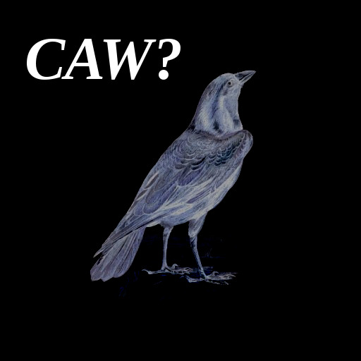 white raven sez CAW!