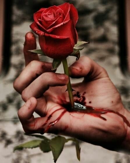 Thorns and Roses